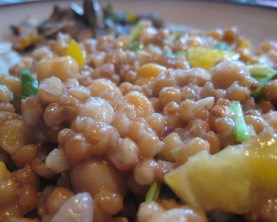 David Dawson's Whole Wheat Chick Pea Salad